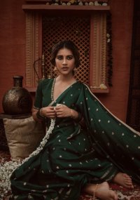nabha natesh_teluguvox 3